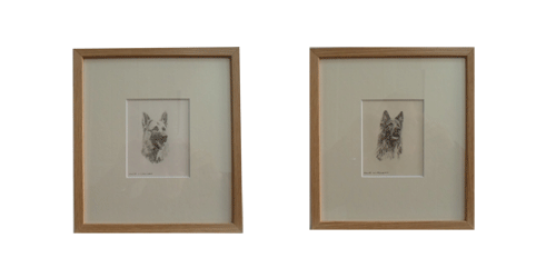 pencil dog portraits
